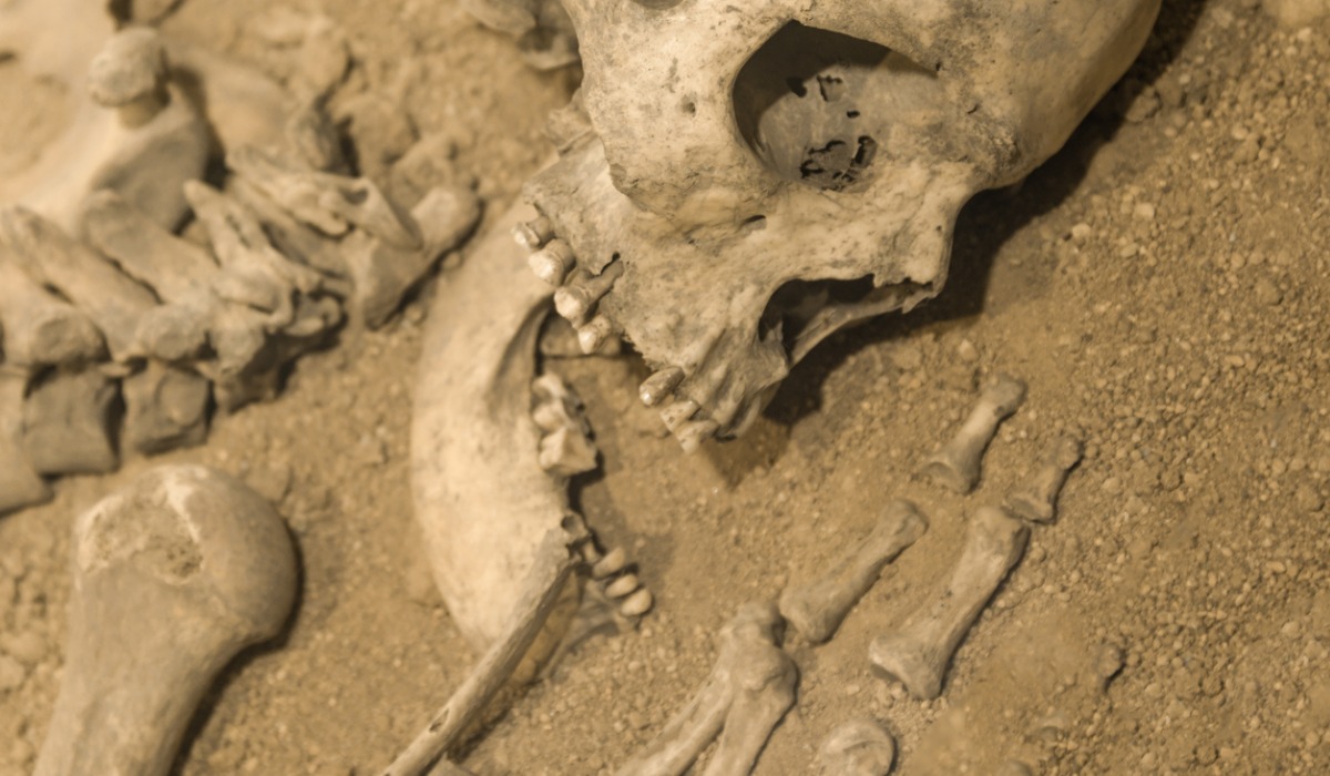 Los científicos utilizaron métodos computacionales que analizaron proteínas de humanos, neandertales y denisovanos.