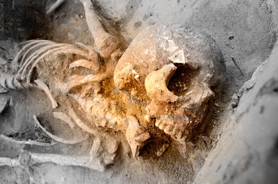 Antepasados humanos se cruzaron con una especie desconocida-0