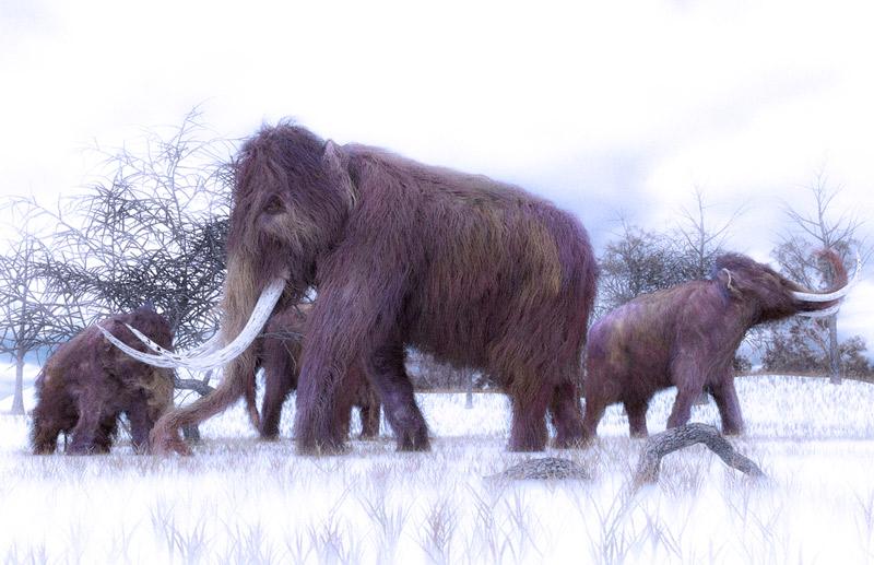 Resucitarán animal prehistórico extinto-0