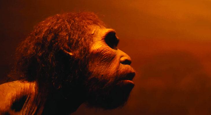 Cómo la regulación genética separó a humanos modernos de neandertales-0