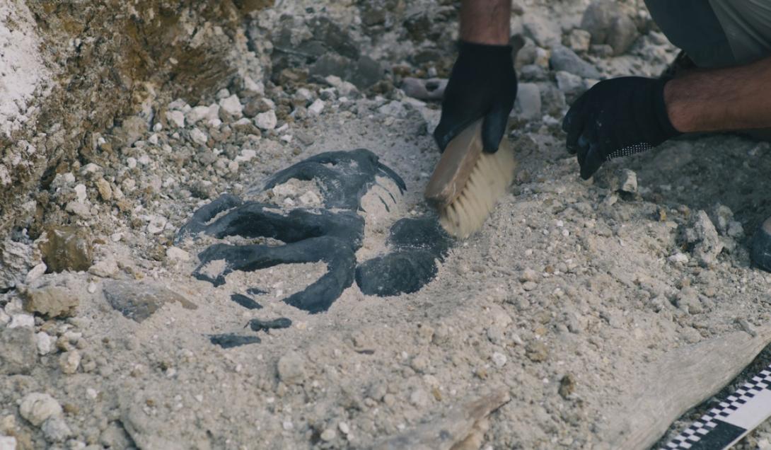 Hito arqueológico: desenterraron la tumba más antigua de China y descubrieron reliquias suntuosas-0