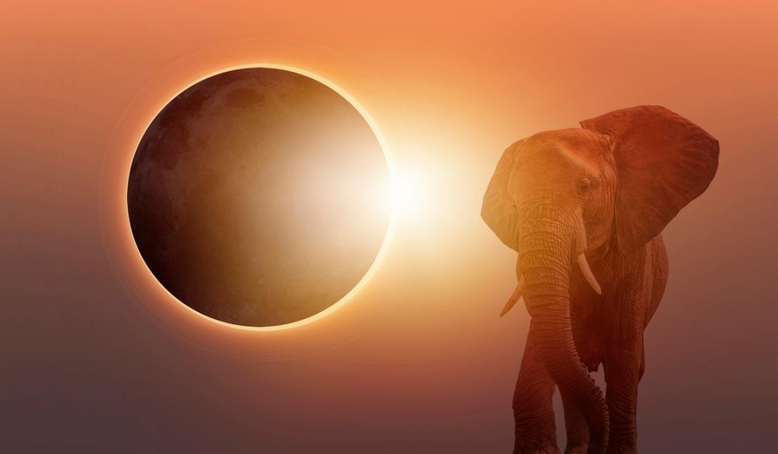Los sorprendentes efectos de “El Mayor Eclipse Americano” sobre los animales y el tiempo-0